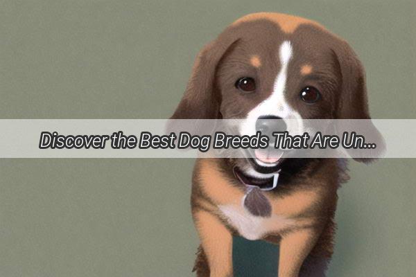 Discover the Best Dog Breeds That Are Unlikely to Bother You A TailWagging Guide